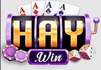 Avatar for haywininnet