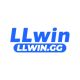Avatar for llwingg1