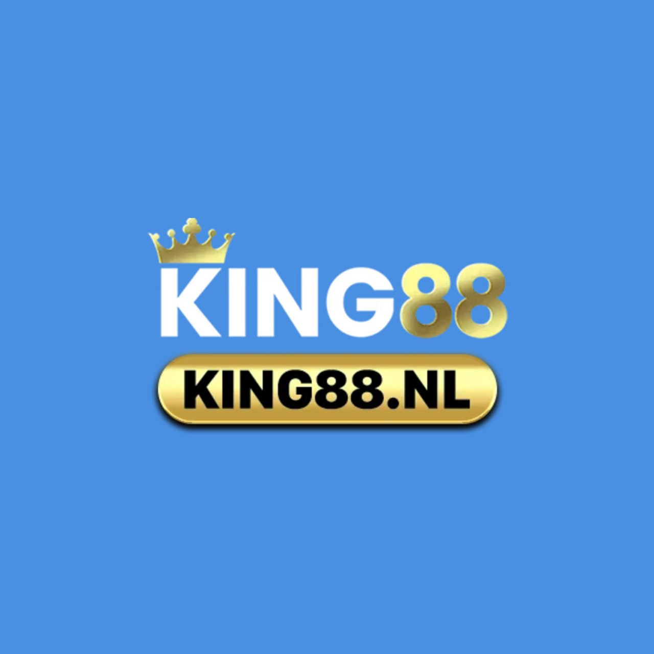 Avatar for KING88