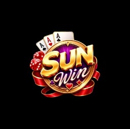 Avatar for sunwin20meme