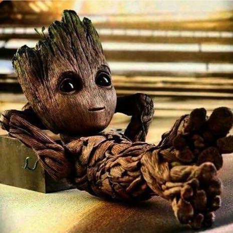 Avatar for GROOT2019