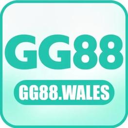 Avatar for gg88wales