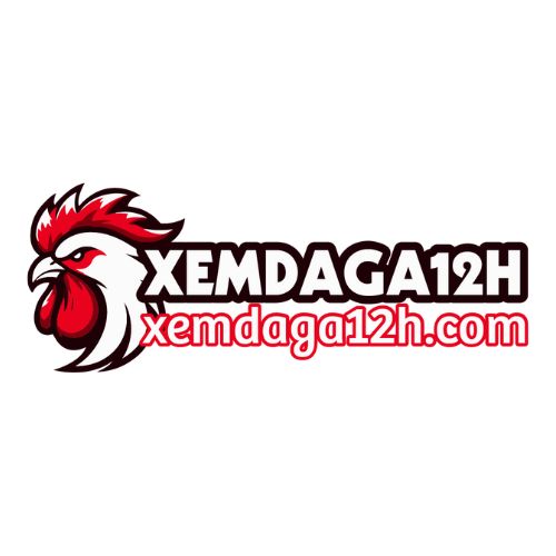 avatar for xemdaga12h