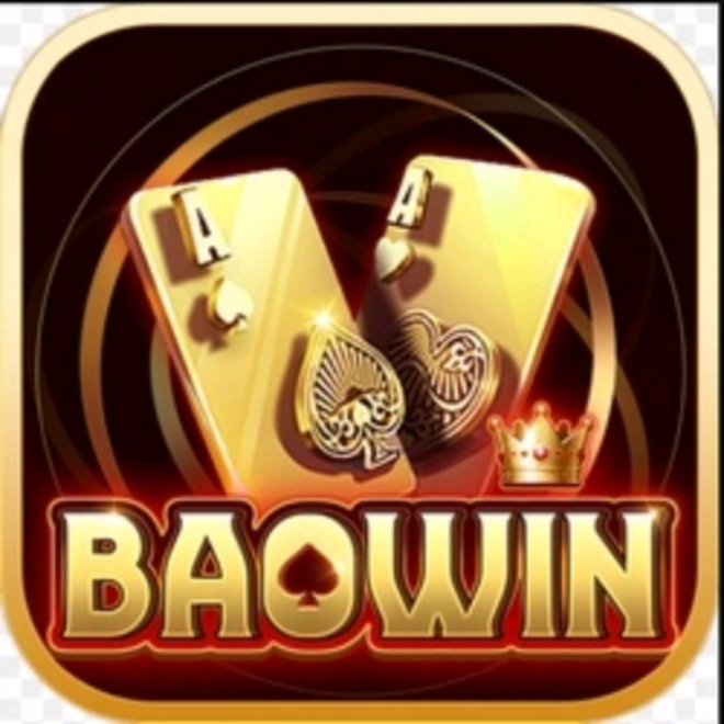 Avatar for baowin1org