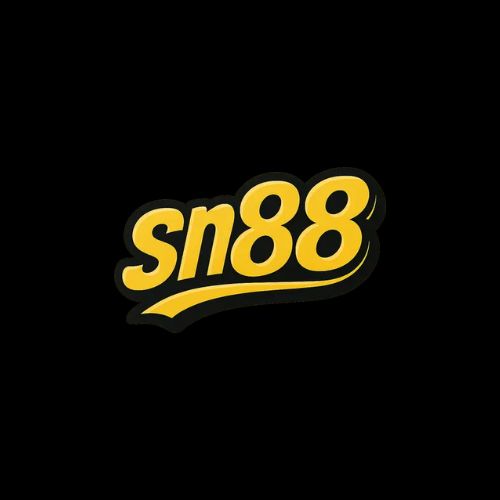 Avatar for Sn88dev