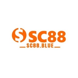 Avatar for sc88blue