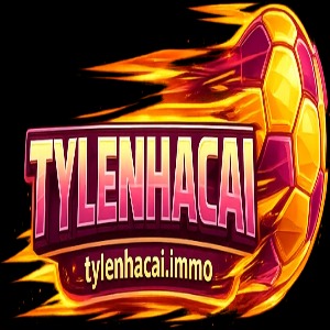 Avatar for tylenhacaischool