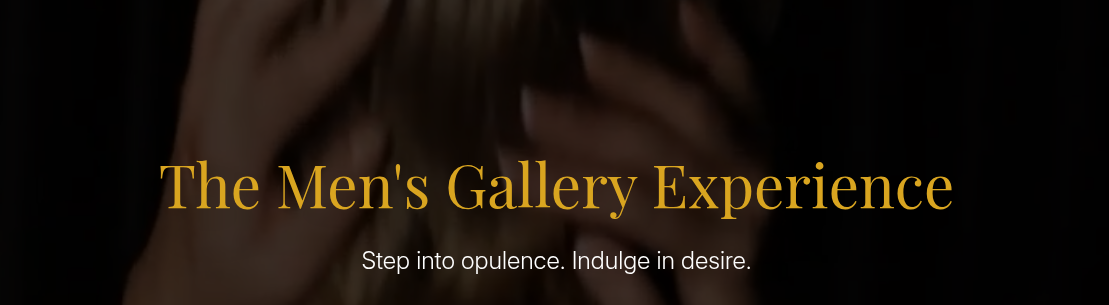 banner for Men's Gallery Sydney