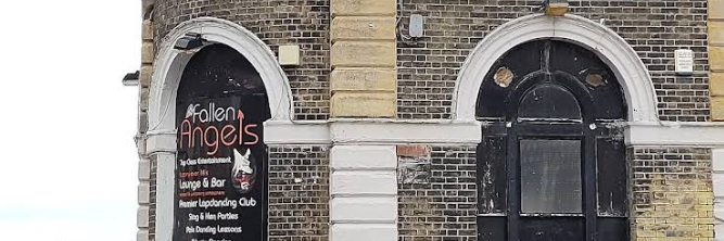 banner for Fallen Angels