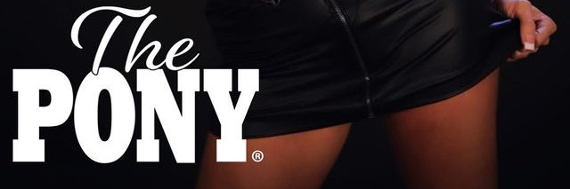 The Pony banner