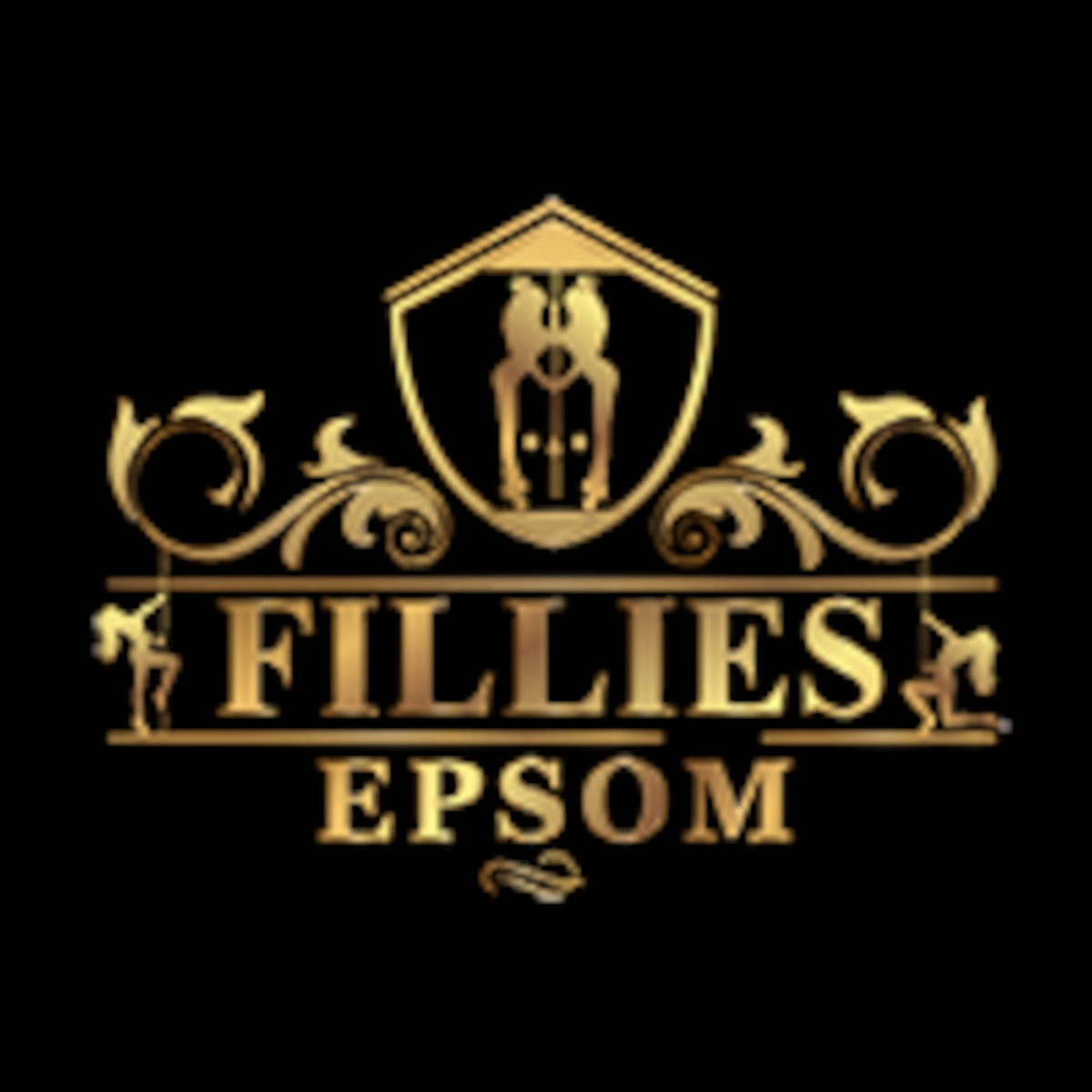 banner for Fillies Nights