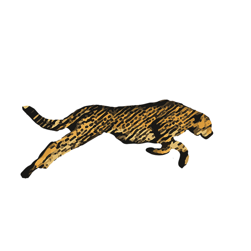 logo for  Cheetah's of Florence