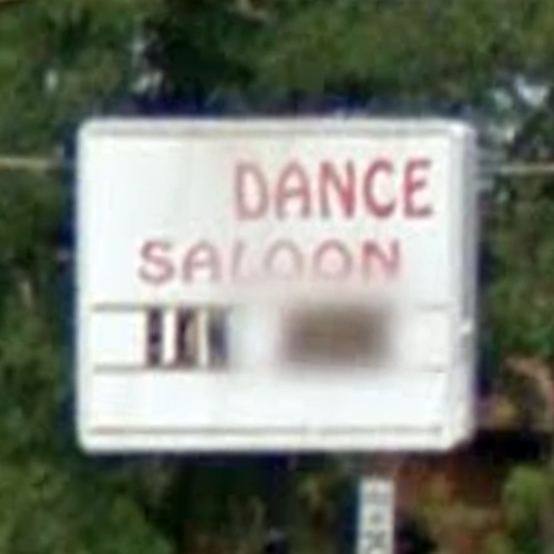 logo for Dance Saloon