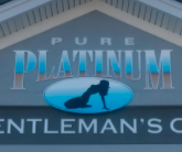 Logo for Pure Platinum