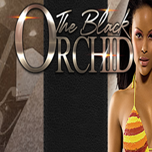 logo for The Black Orchid