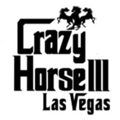 Logo for Crazy Horse III (CH3)
