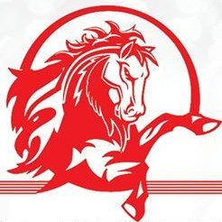 Logo for Wild Mustang Gentlemen’s Club