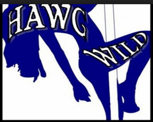 logo for Hawg Wild A Gentlemen's Club 