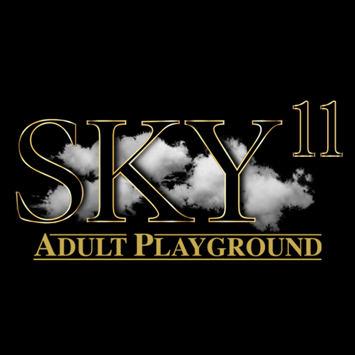Logo for Sky11
