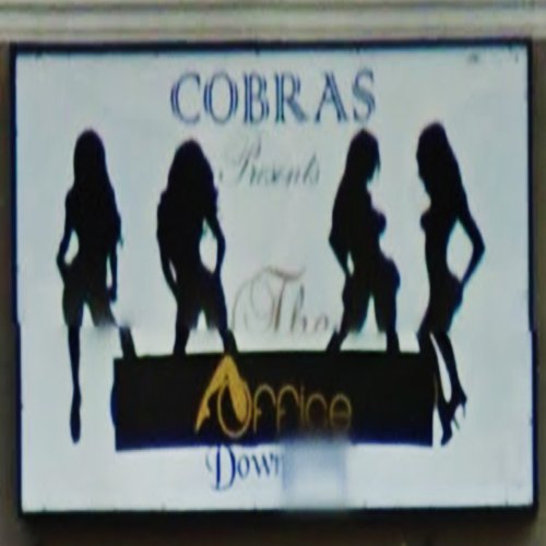 The Cobra logo