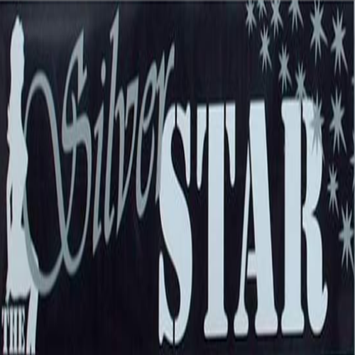 logo for The Silver Star