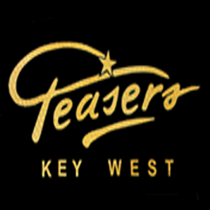 logo for Teasers