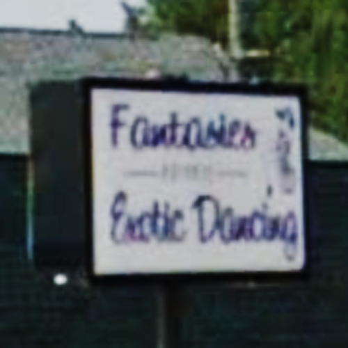 logo for Fantasies Exotic Dancing