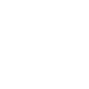 Logo for Silver Slipper Saloon