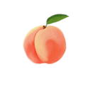 Logo for PDX Peaches