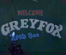 logo for Greyfox