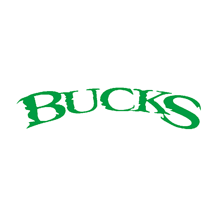 Logo for Bucks Wild South