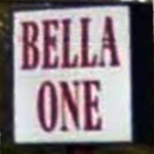 Bella One Spa logo