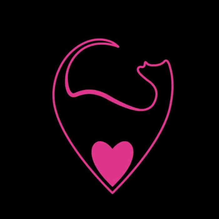 Logo for Kittens Strip Club