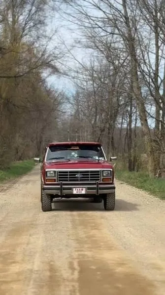 Media