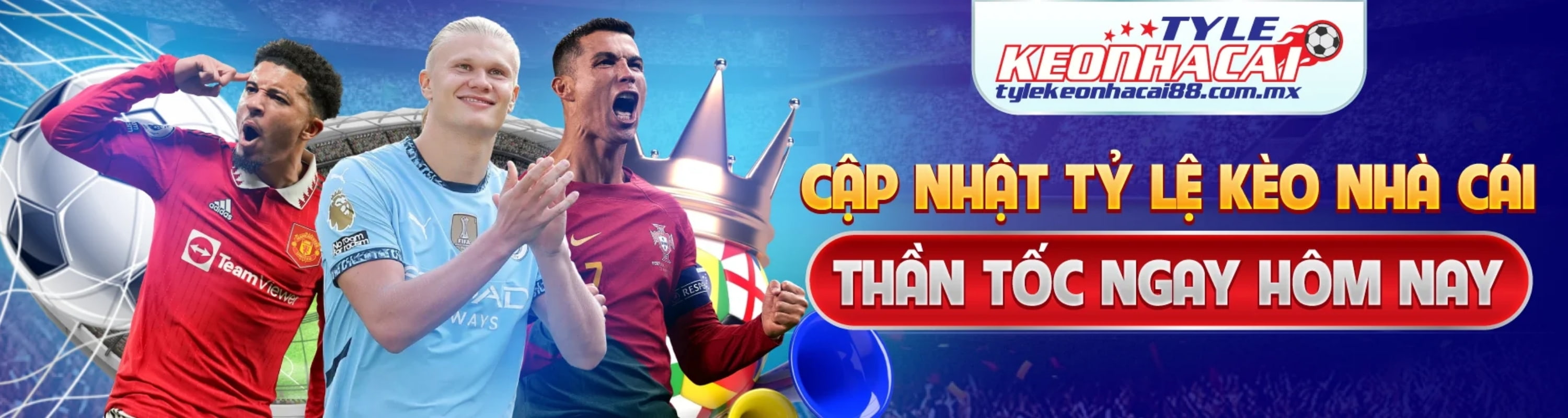 banner for tylekeonhacaimx