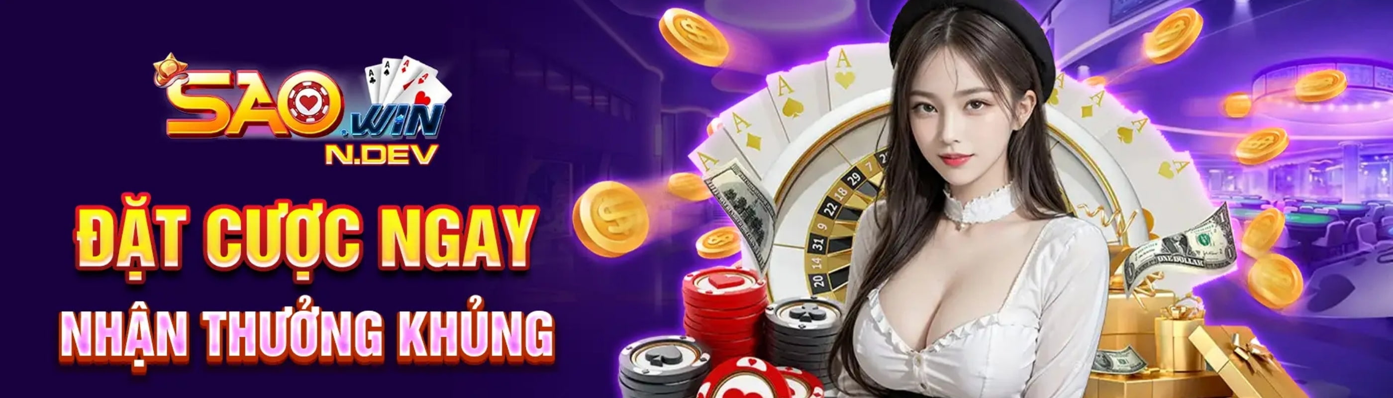 banner for saowinndev