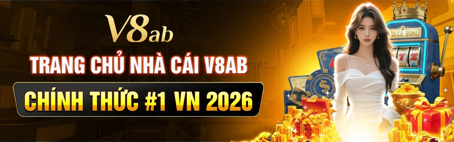 banner for v8aborg
