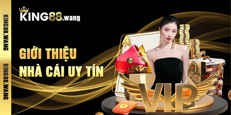 banner for king88wang