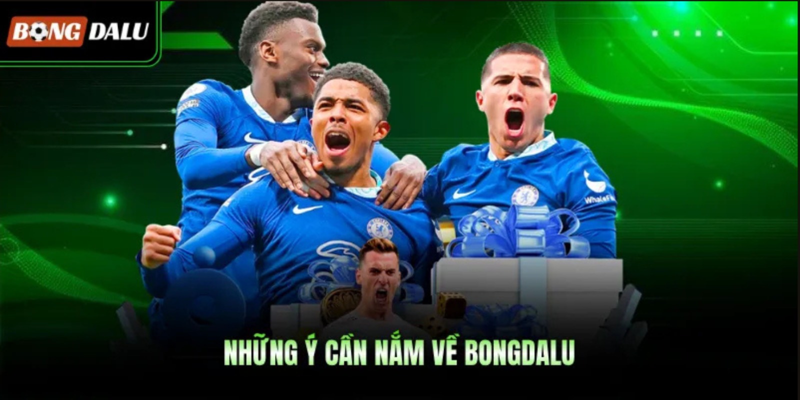 banner for bongdaluplace