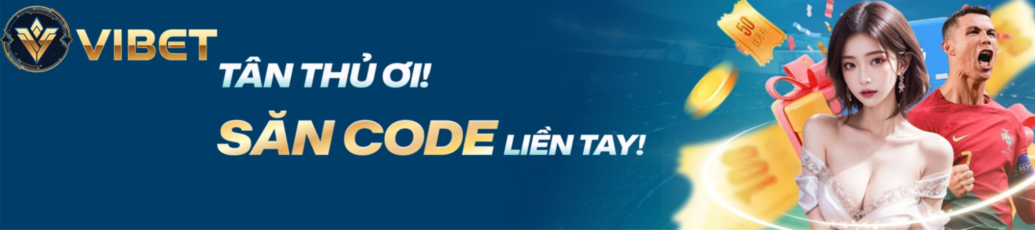 banner for vibethost