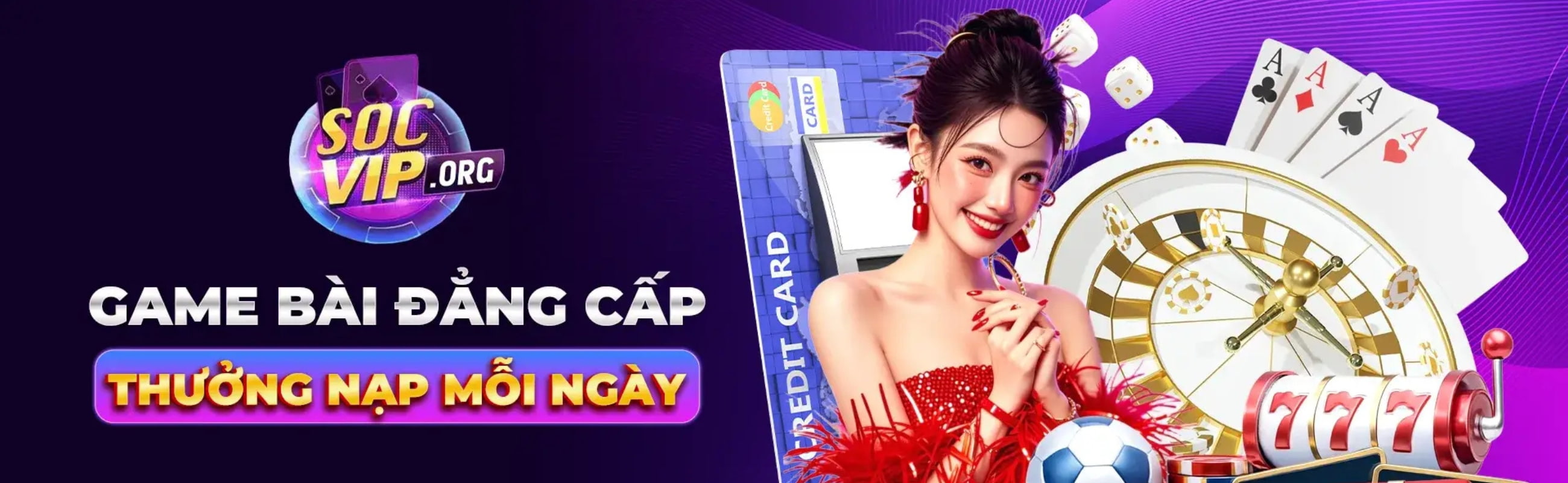 banner for socviporg