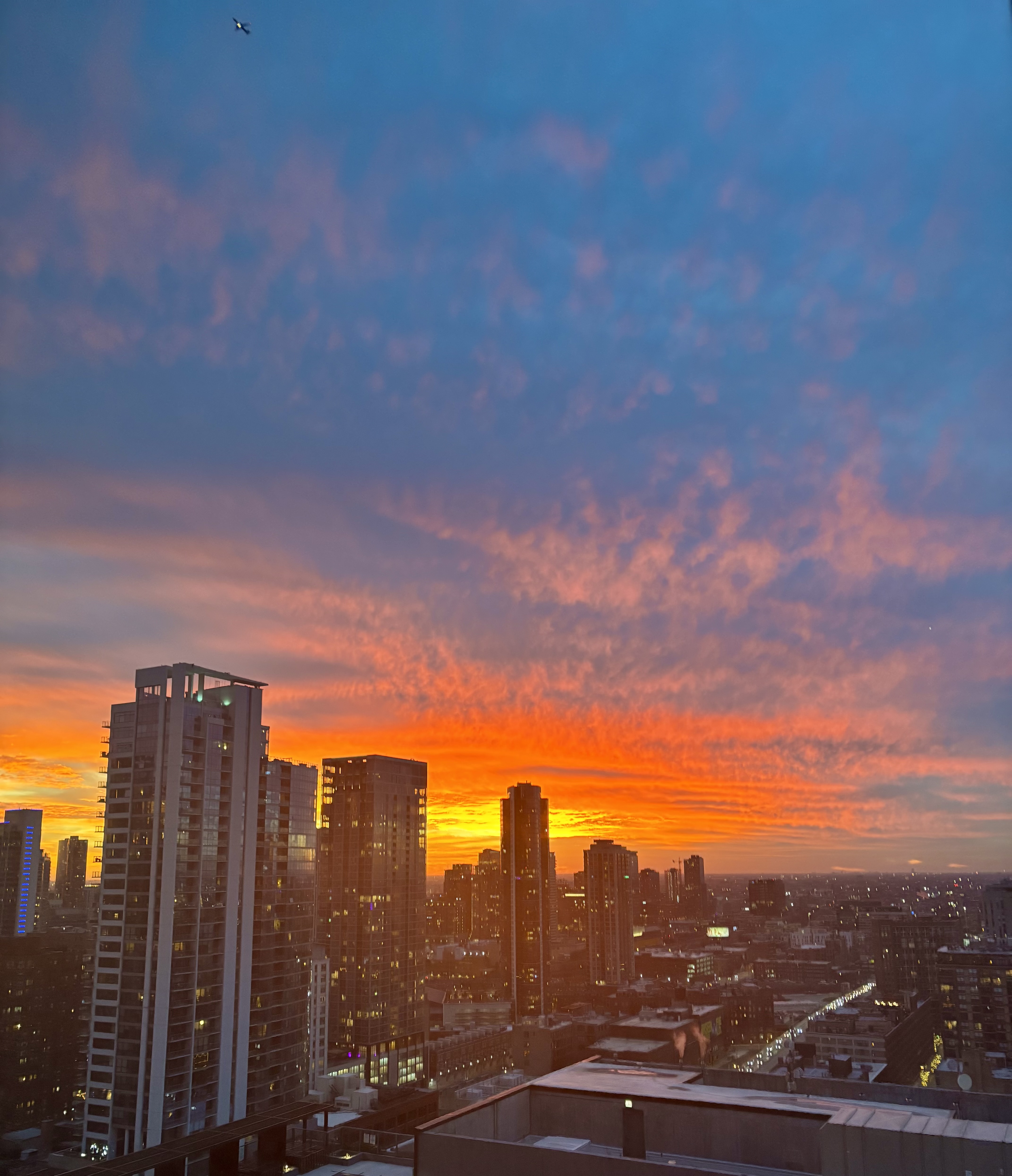 banner for Pinkflamingo