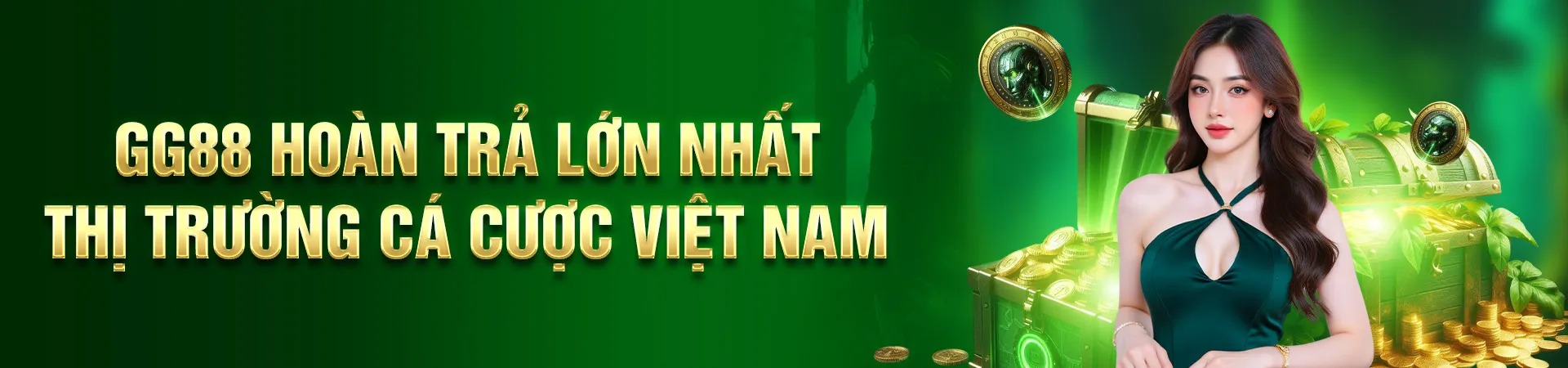 banner for gg88wales