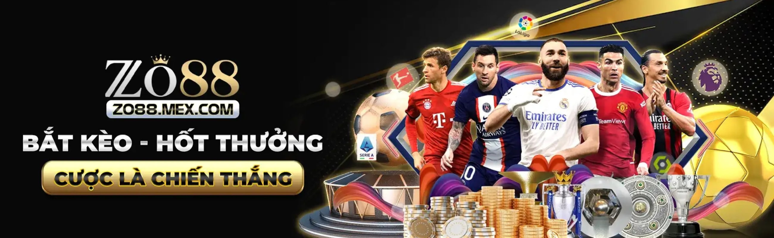banner for zo88mexcom