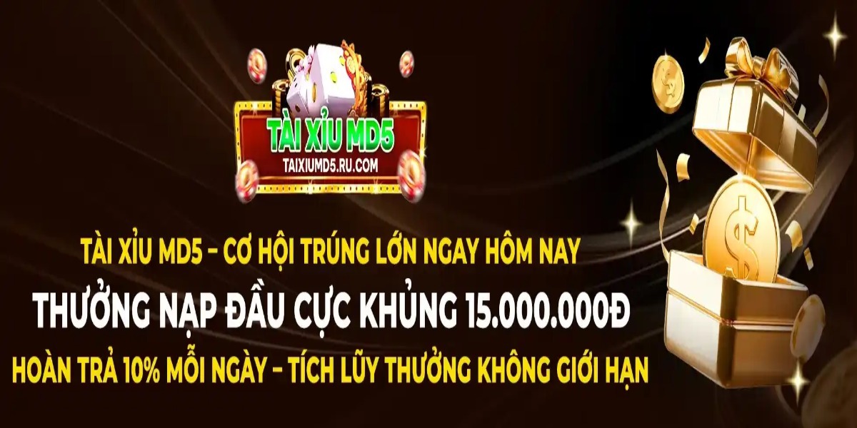 banner for taixiumd5rucom