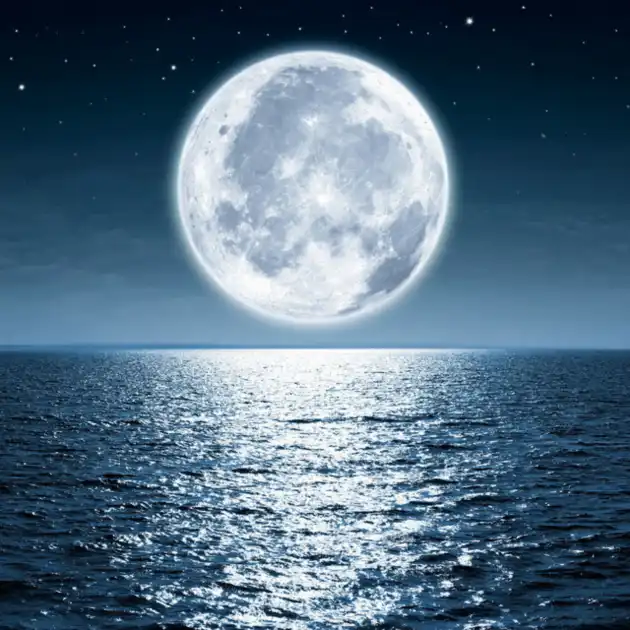 banner for gashgang1