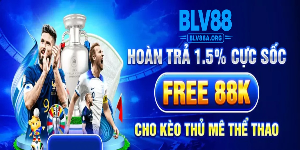 banner for Blv88aorg