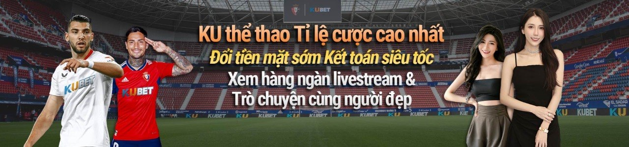 banner for hytw3339uknet1