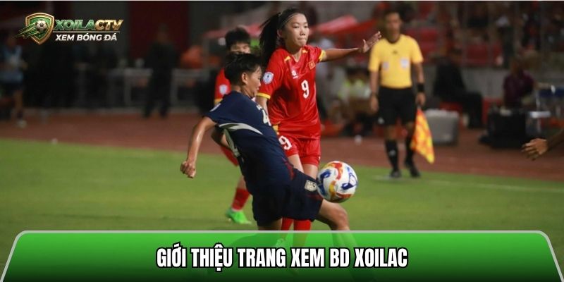 banner for xoilactvvfootball