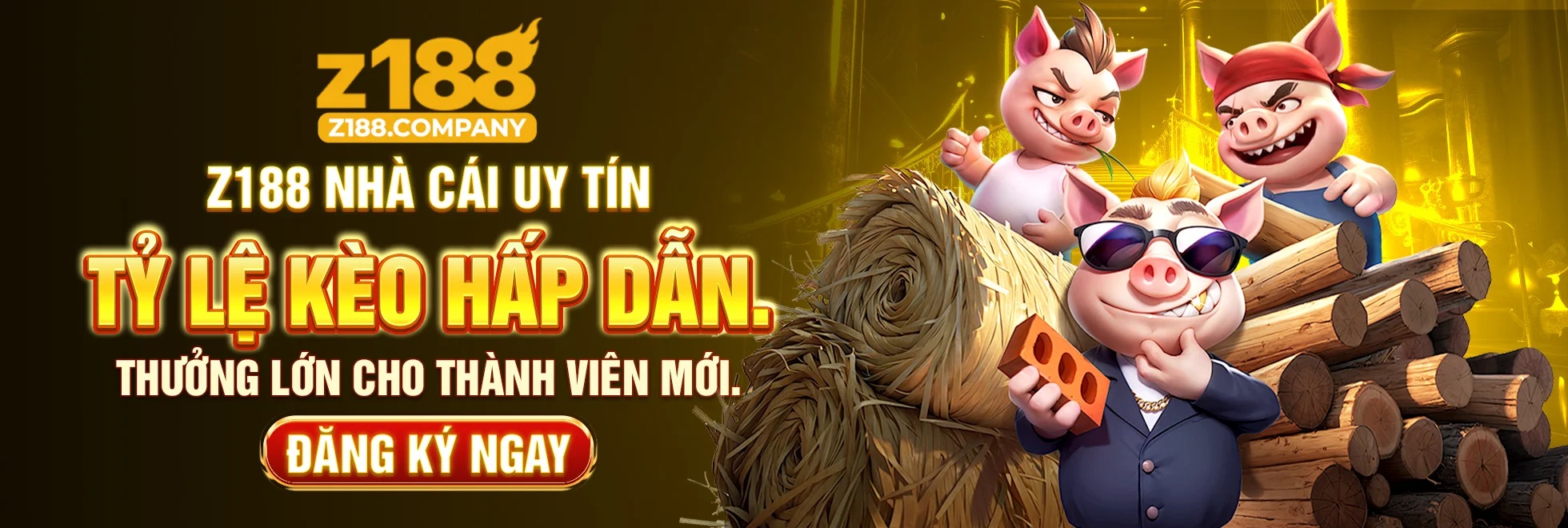 banner for z188company